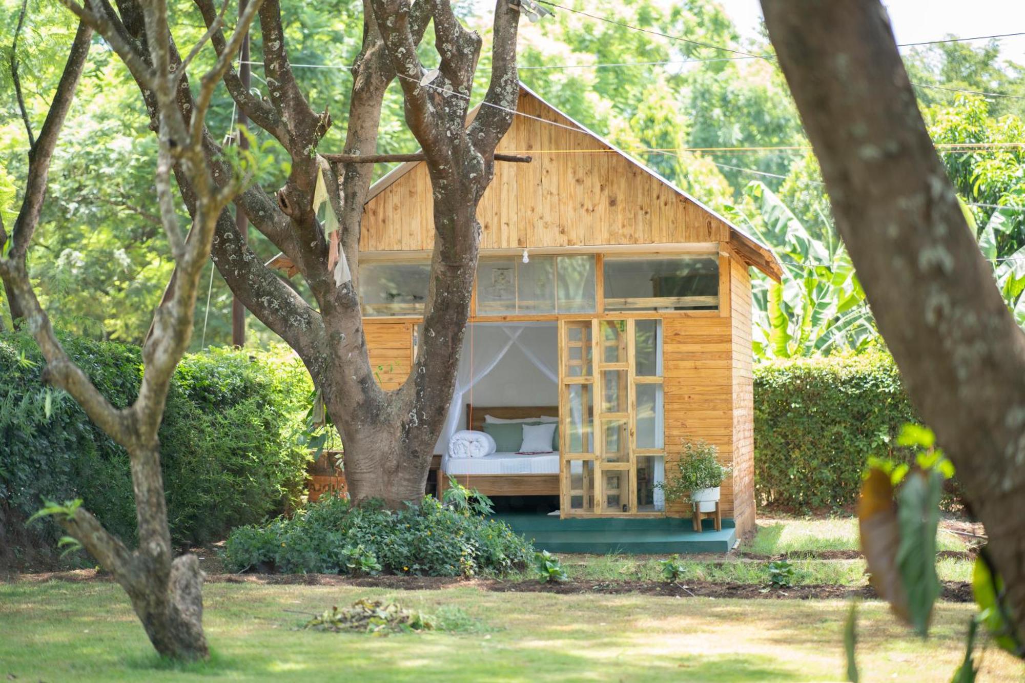 Mkoani Homestay Moshi Exterior foto